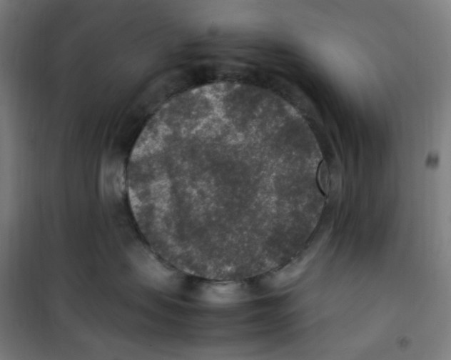 X0000100340479200807031303