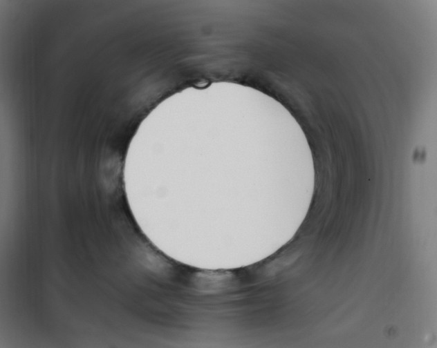 X0000100340480200807031303