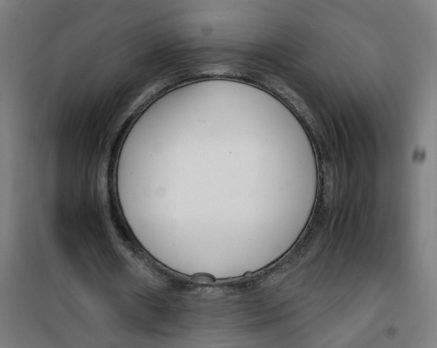 X0000100340482200807031302