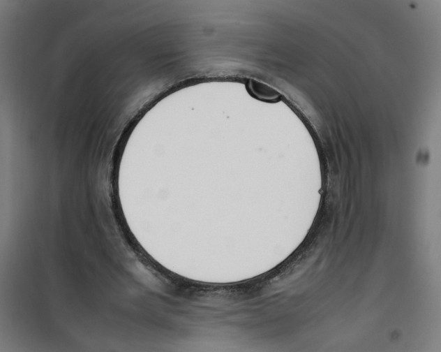 X0000100340485200807031302