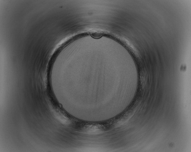 X0000100340488200807031302