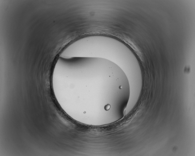 X0000100340489200807031302