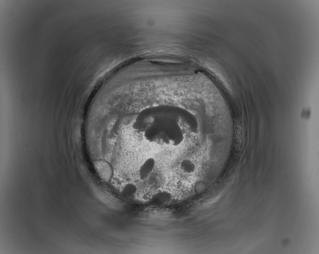 X0000100340491200807031302