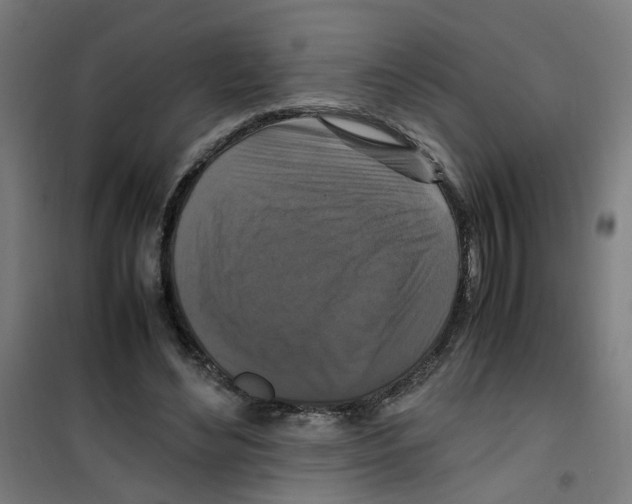 X0000100340492200807031302