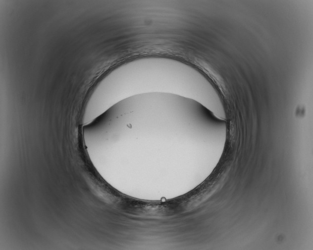 X0000100340493200807031302