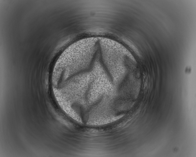 X0000100340494200807031302