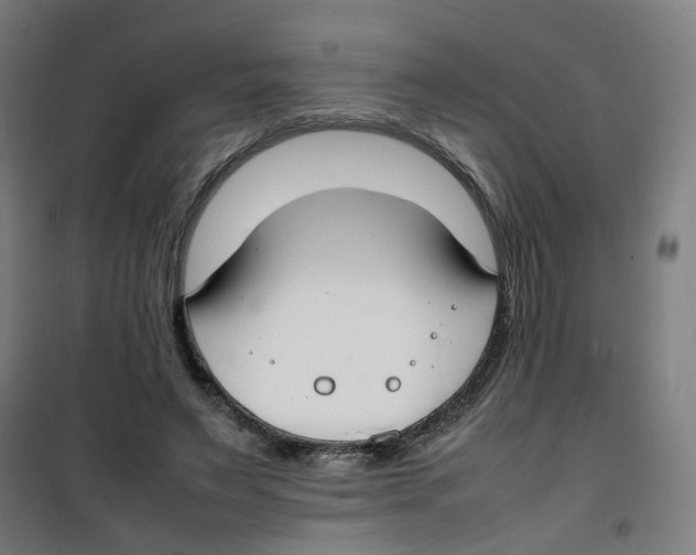 X0000100340495200807031302