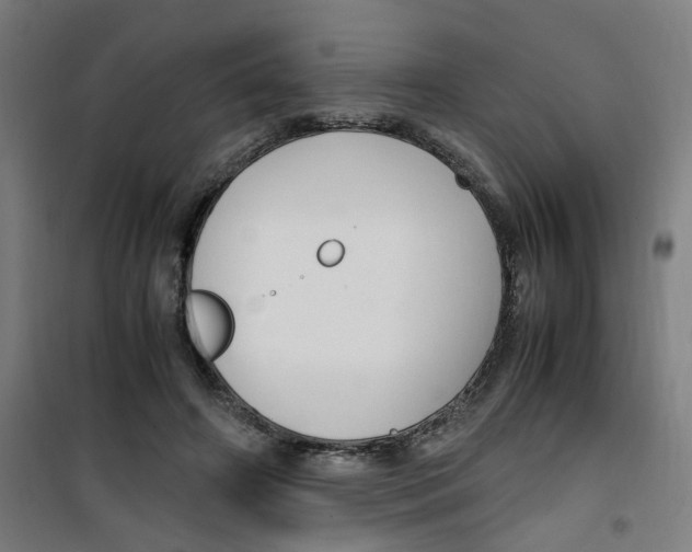 X0000100340498200807031302