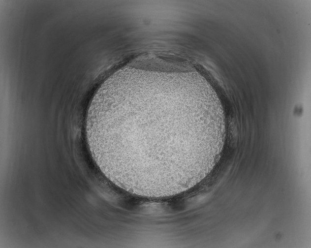 X0000100340499200807031302