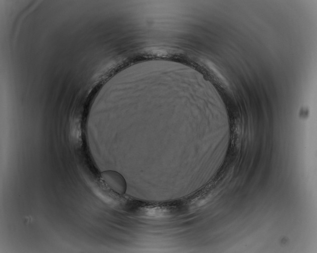 X0000100340500200807031302