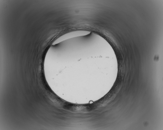 X0000100340501200807031302