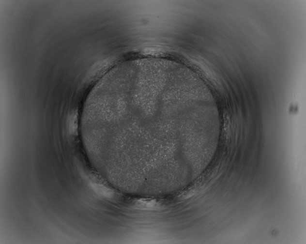 X0000100340502200807031302