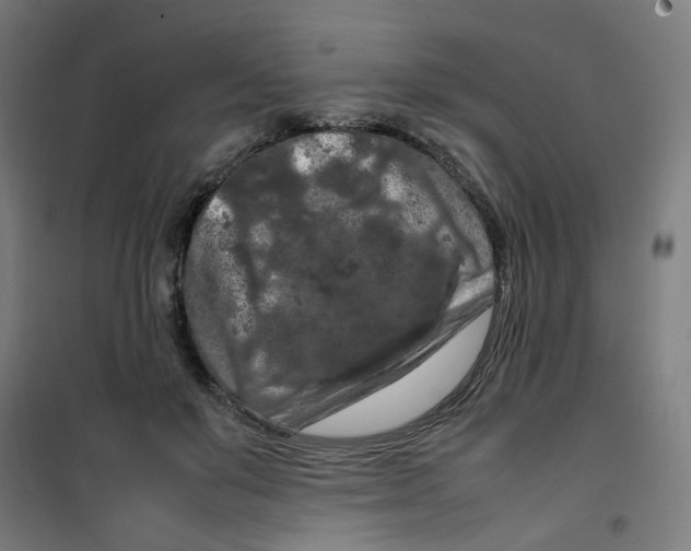 X0000100340503200807031302