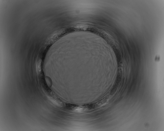 X0000100340504200807031302