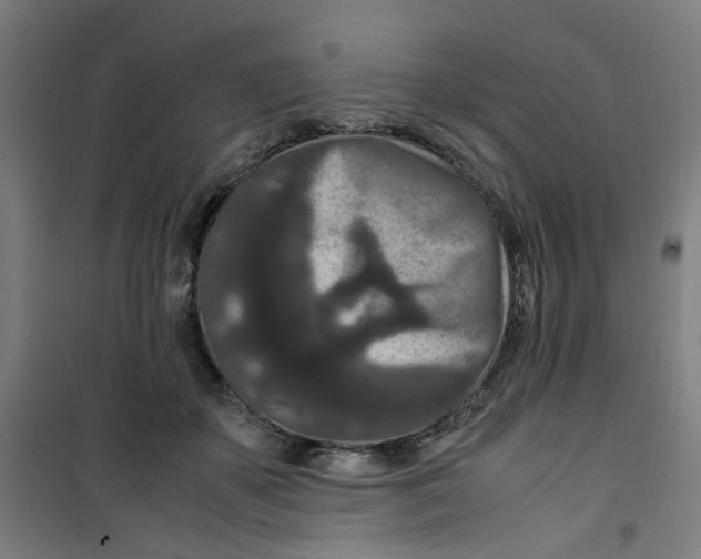 X0000100340507200807031301