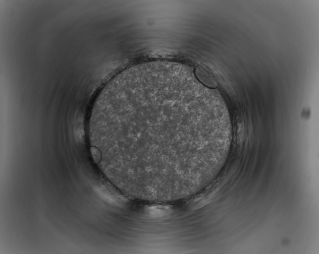 X0000100340508200807031301