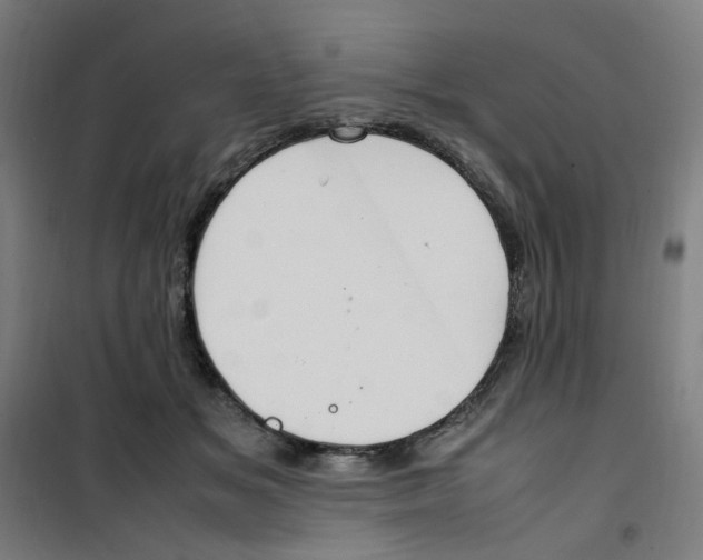 X0000100340509200807031301