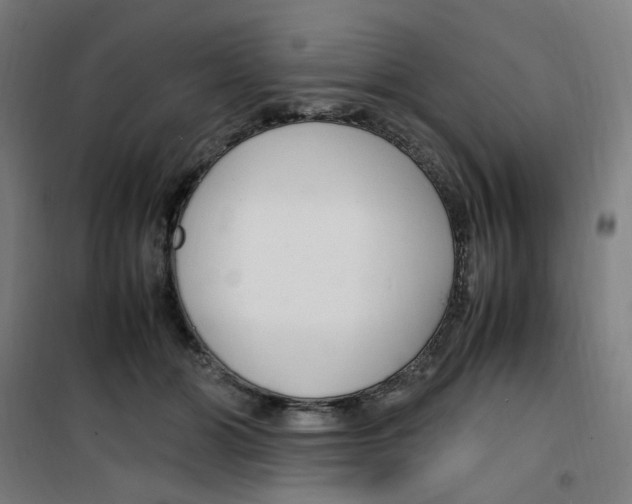 X0000100340510200807031301