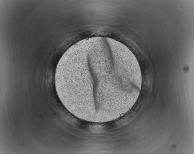 X0000100340513200807031301