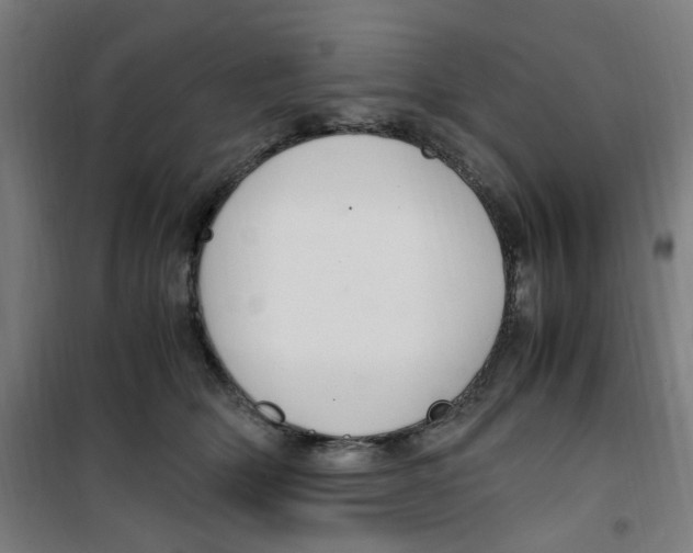 X0000100340514200807031301