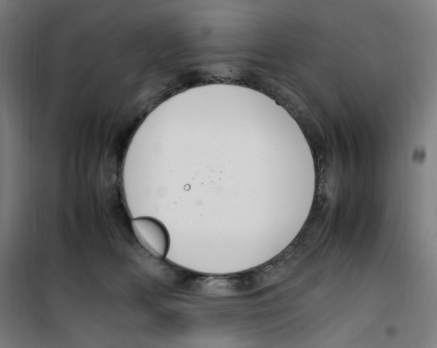 X0000100340518200807031301