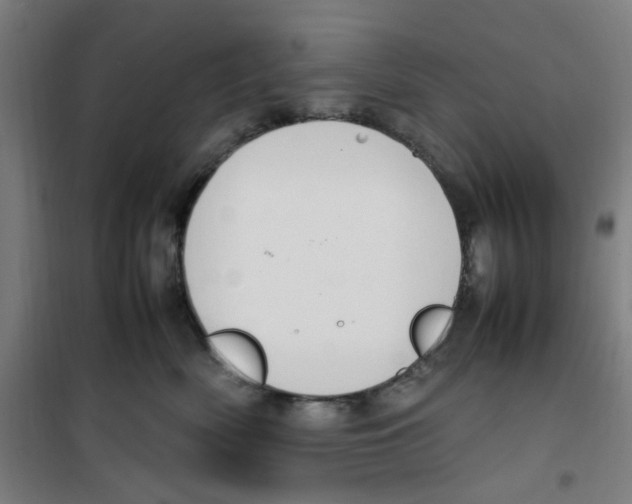 X0000100340522200807031301