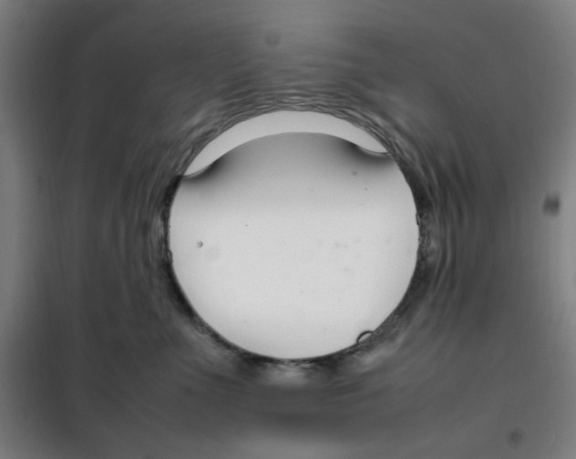 X0000100340523200807031301