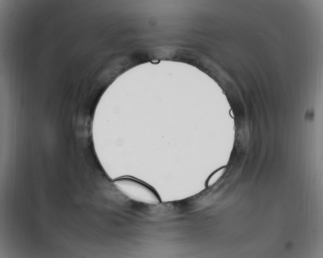 X0000100340525200807031301