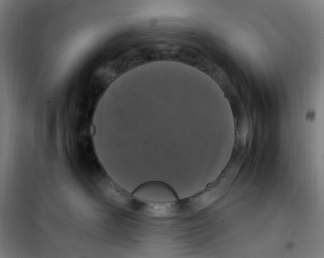 X0000100340526200807031301