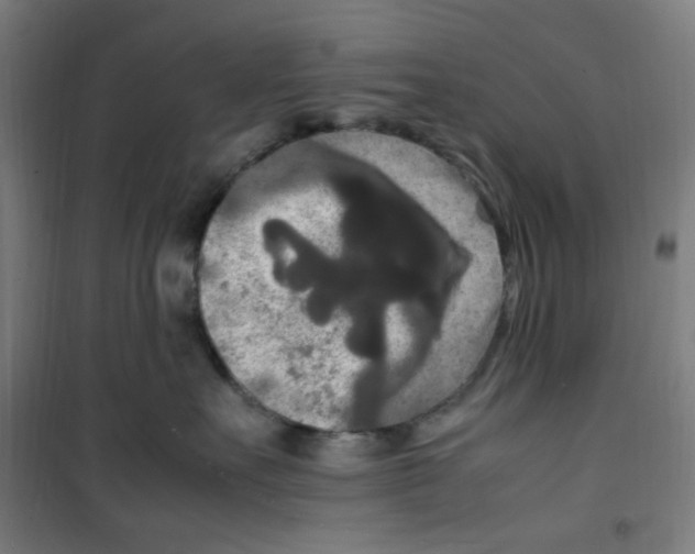 X0000100340527200807031301