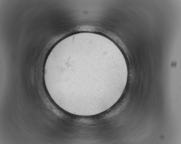 X0000100340529200807031300