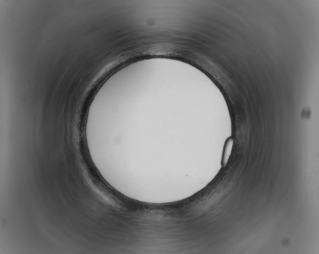 X0000100340530200807031300