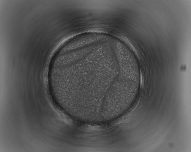 X0000100340531200807031300