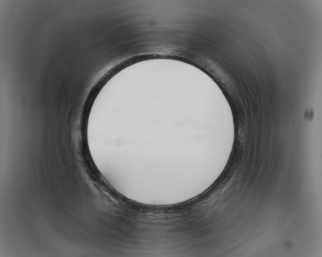 X0000100340532200807031300