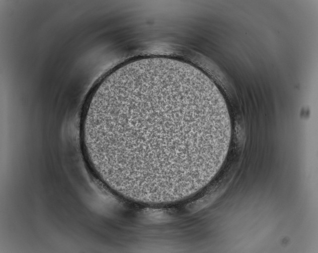 X0000100340534200807031300