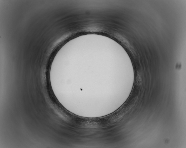 X0000100340535200807031300