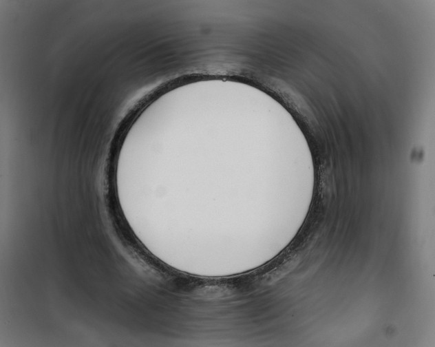 X0000100340536200807031300