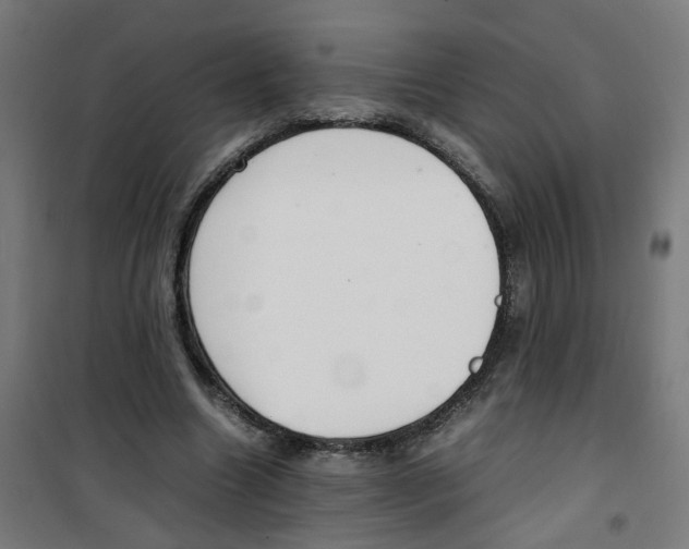 X0000100340538200807031300