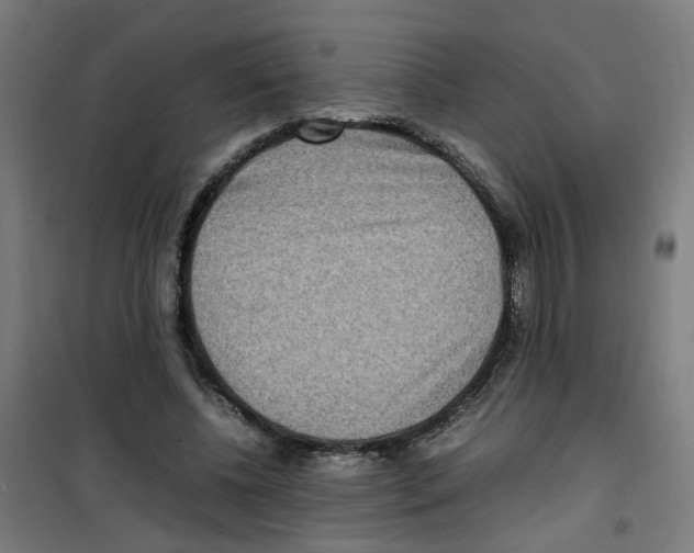 X0000100340540200807031301