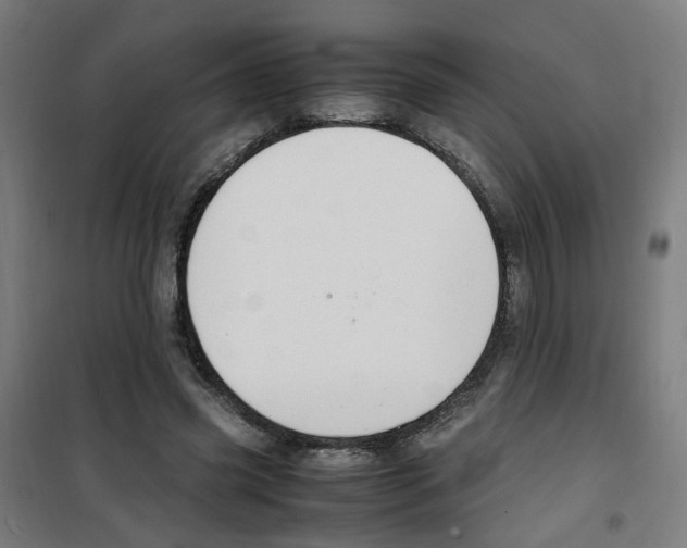 X0000100340541200807031301