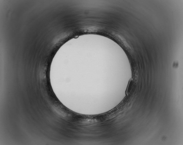 X0000100340543200807031301