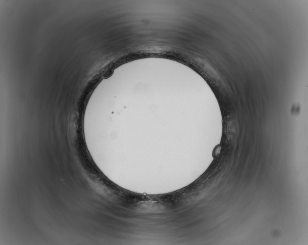 X0000100340544200807031301