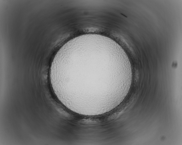 X0000100340545200807031301