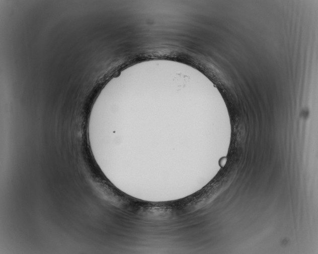 X0000100340546200807031301