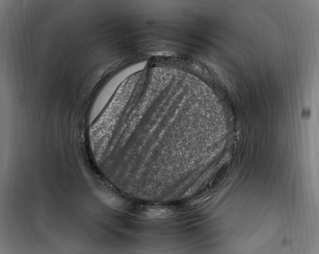 X0000100340547200807031301