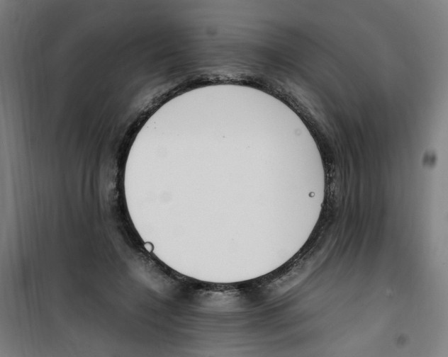 X0000100340548200807031301