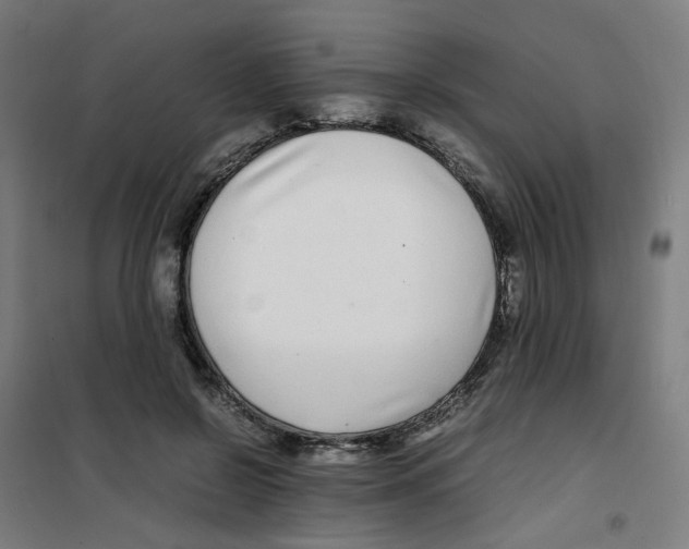 X0000100340550200807031301