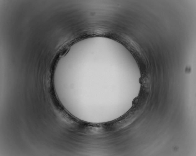 X0000100340552200807031301