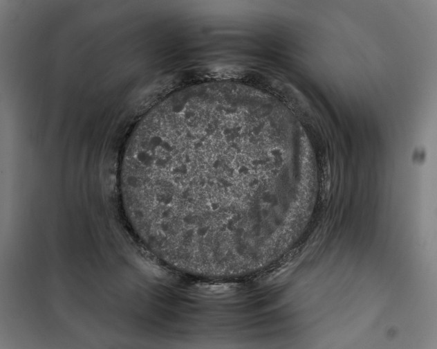 X0000100340553200807031301