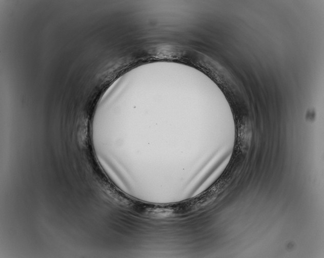 X0000100340554200807031301